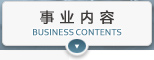 事业内容