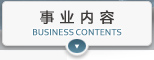 事业内容